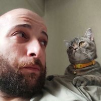 Enis (@metufekcioglu) 's Twitter Profile