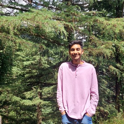 shubh2000's profile picture. SDE @microsoft |
GSoC'20 @CircuitVerse |
NITH CSE |
@Arsenal