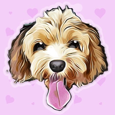 キャバリアとトイプードルのmix犬モカ もうすぐ10歳♀🐶僧帽弁閉鎖不全症のモカを助けるため皆様からの温かいご支援とご協力をいただきました。そのおかげで2月4日に僧帽弁形成術を受けられ元気に過ごしています。無言フォローお許しください🙇🏻‍♀️