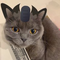 パッパ (@ppp_pokeca) 's Twitter Profile Photo パッパ (@ppp_pokeca) 's Twitter Profile Photo