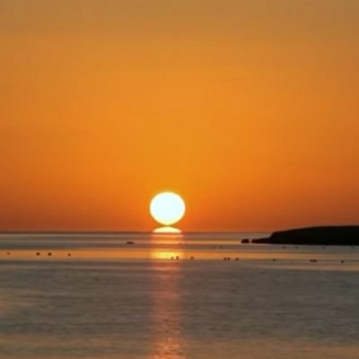 samr68882341's profile picture. شخص يخاف الله