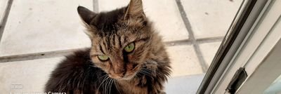 EW5RtiU4eeL1Zho's profile picture. 