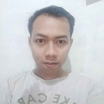 Adiputra180996's profile picture. @Supermeow_Avax