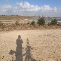 Zohar Barbash (@zoharbarbash) 's Twitter Profile