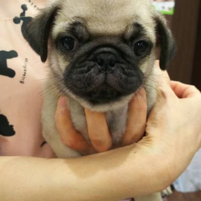 cHC8dMIIJaEoleN's profile picture. twitter超初心者です。よろしくお願いします。