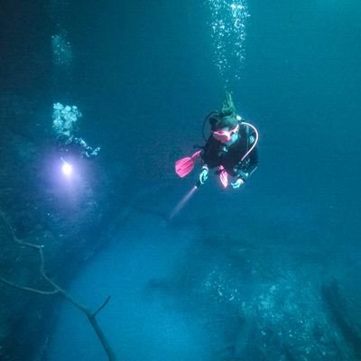 Theresa_Ma_Ria's profile picture. Sharks are born swimming