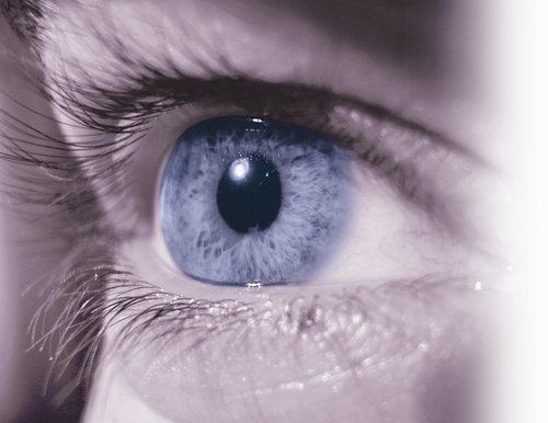 Scully Info, Inc., is a Private Investigation and Process Service Agency, providing legal support to attorneys, corporations, small to medium businesses.