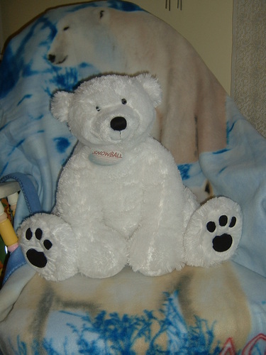 Canadian, Girl Guiding, Christian, anime loving, disaster film obsessed, female gaming, polar bear.