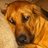 lauren7127's profile image