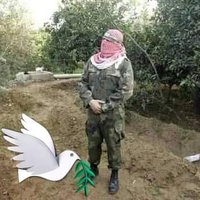 مومن جراد (@jradmwmn) 's Twitter Profile