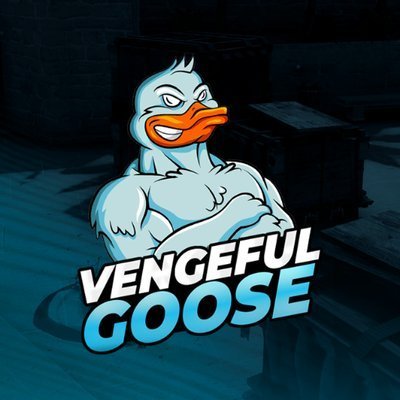 VengefulGoose's profile picture. 🇳🇱 Dutch Gaming Community.