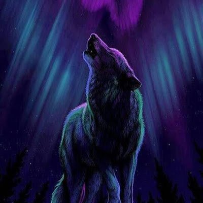 2SpiritNtve's profile picture. 