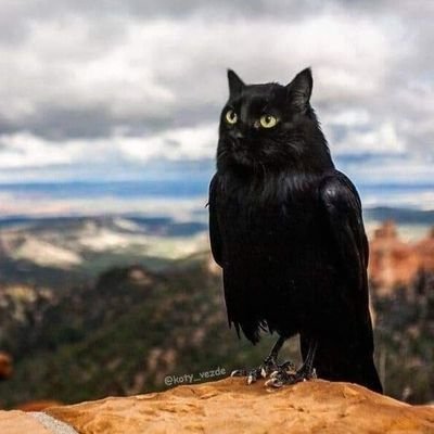 Oynak_beyi33's profile picture. 83'lüyüm, sexte güçlüyüm!