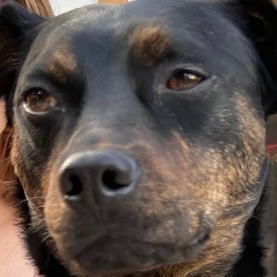 JoeBillyTweets's profile picture. Celine Dion’s “Ashes” is the greatest song of this generation. Fight me on this.