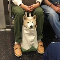 Not Hypebeast (@styleguideform) 's Twitter Profile