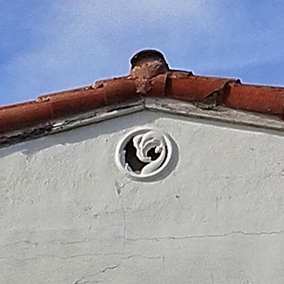 terisstuff's profile picture. Trump is 100% anti Christian values.