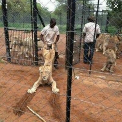 danial_dandan9's profile picture. عاشق ترنس شیمیل 😉