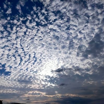 b_jbq4's profile picture. 関東！ドラゴンズ🐲