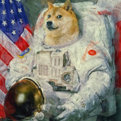 SpaceXDoge