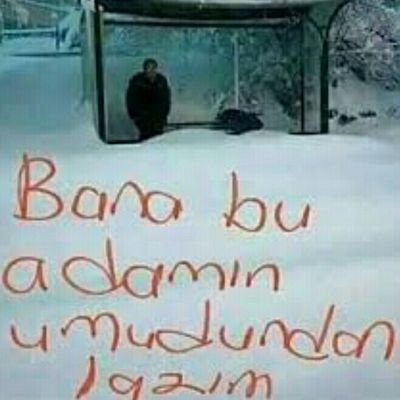 ZgrtAa2's profile picture. 