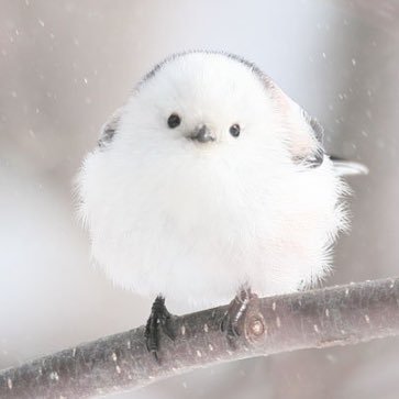 GouCz's profile picture. ただのさえずり/頑張りたいこと:マネーリテラシー向上、生活能力向上、迷ったらとりあえず行動にうつすこと/興味あること:美容医療、名著、自分の人生の行く末、いけめん