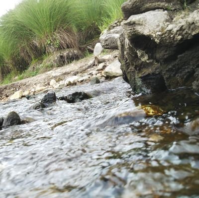 ctluabrai's profile picture. ||wind orchestra||Instagram→ https://t.co/NJNlKJDjoM