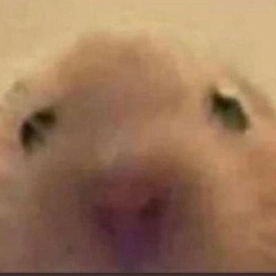 ana4lvx's profile picture. juro que eu vou ser diferente