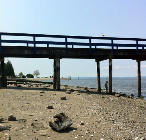 WhiteRFamilies's profile picture. White Rock & South Surrey events and activities guide for families.  Presented by Pilar Osing.