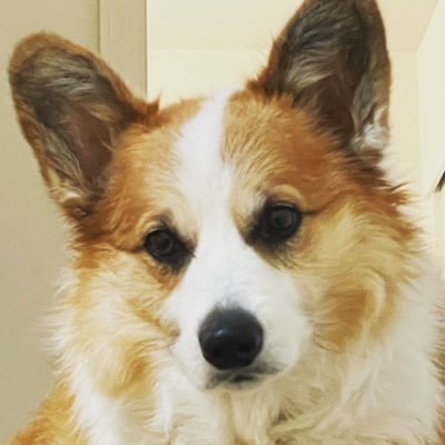 ireadpeoplepost's profile picture. I am a concern minority American. https://t.co/0wJvUcglfQ