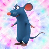 Rats(@LegalizeRats) 's Twitter Profile Photo