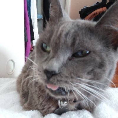 Christo09109172's profile picture. 🌊