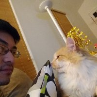 Will J (@random7hs) 's Twitter Profile
