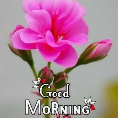 tabrez_lari's profile picture. Be honest your self