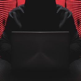 ZeroDayBroker's profile picture. Zero day broker.