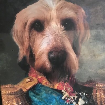 Mutti. Oma. Die Maske bleibt auf! 8 x geimpft. Seit 15.09.24 Mutti von Socke (Hund aus Tierschutz, 3 Jahre). Gegen Nazis. Meist lieb, kann aber auch anders.