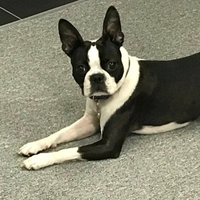 artavilla_m's profile picture. 