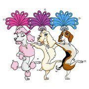 VivaVegasPets's profile picture. Viva Vegas Pets is all about and for Las Vegas pets and their people. Pet Places, Pet Happenings, Pet Adoptions and MORE. Stop on by!