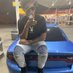 Pred (@datboiipred) Twitter profile photo Pred (@datboiipred) Twitter profile photo