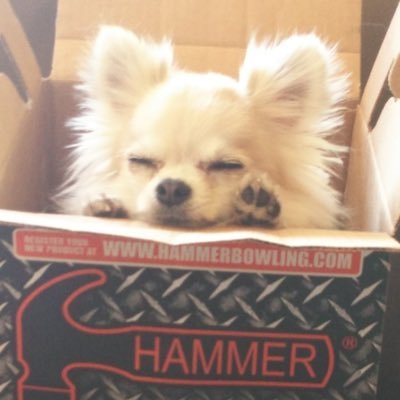 Akiraoshima2021's profile picture. ボウリング、そしてコミュニケーション、太宰治の本を読むと途端に病む