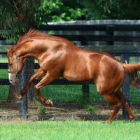 محمد فواز @M.F.F (@nsnas_alsmal) 's Twitter Profile Photo