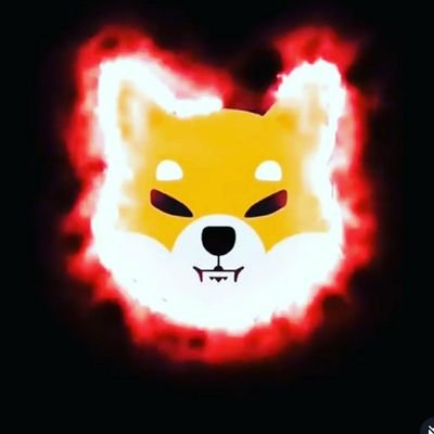 Finance Analyst
Follow me for all Shiba News 
Shiba Lover and Holder 🚀🚀🚀🦊🦊🦊