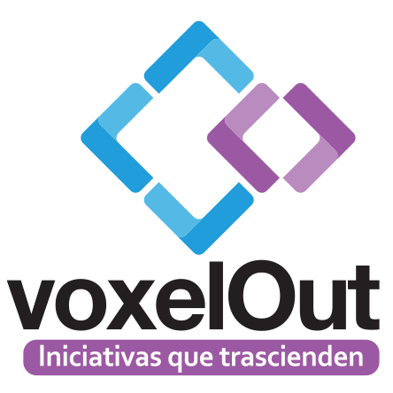 voxelout's profile picture. 