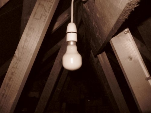 The_LoftProject's profile picture. Live art and digitally-mediated performance series broadcasting live from performance artist and digital archivist Cara Davies' loft.