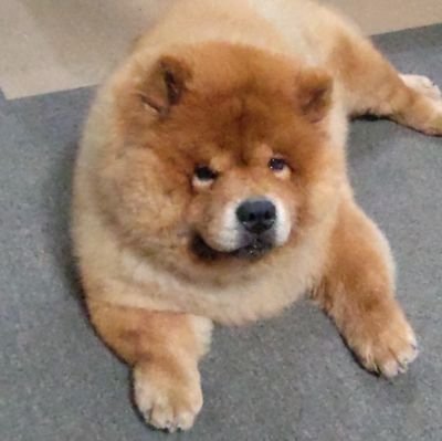 1vrnX58QNLfTUtW's profile picture. SMAP大好き、中居くん大好きでーす