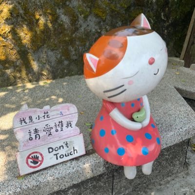 Ericsssom's profile picture. Tommy