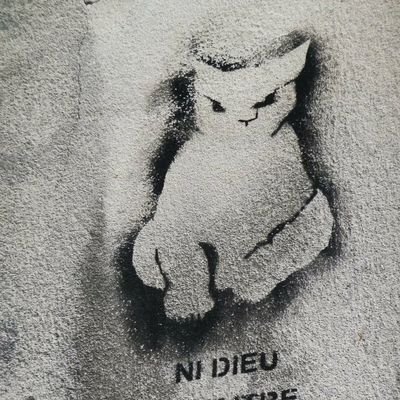 AlainNoirot's profile picture. 