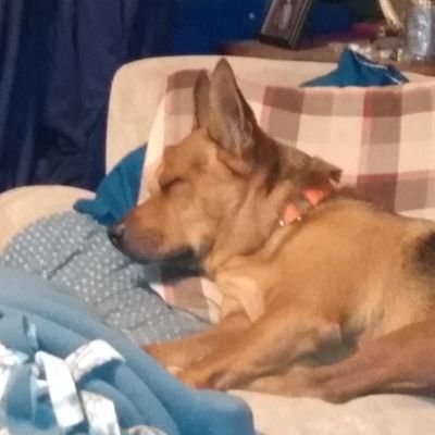 jodikay65's profile picture. 