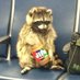 Ben Dover (@fat_raccoon11) Twitter profile photo Ben Dover (@fat_raccoon11) Twitter profile photo