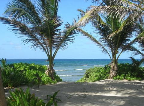 St. Croix USVI Yoga Instructor