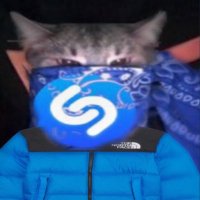chatzam (@zenjii) 's Twitter Profile